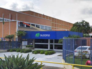 A Suzano (SUZB3) voltou. Após dois anos com o pagamento de dividendos suspenso, a companhia anunciou a distribuição de R$ 1 bilhão.