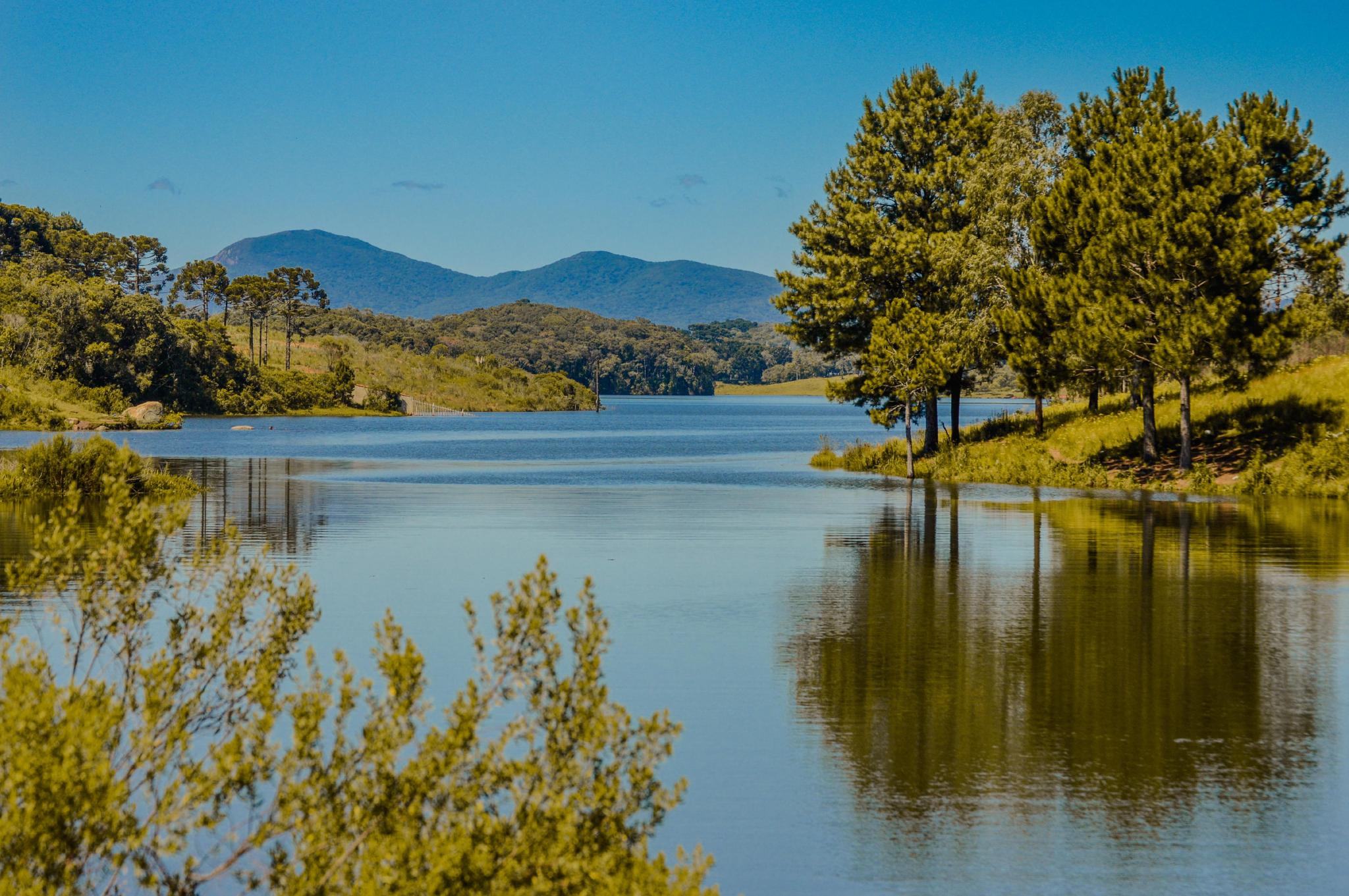Foto: Prefeitura Municipal de Piraquara