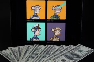 NFT macacos