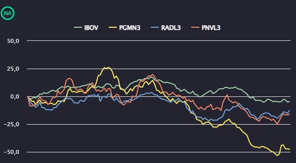 Gráfico comparando a performance das ações da Panvel, Pague Menos, Raia Drogasil e do Ibovespa em 2022