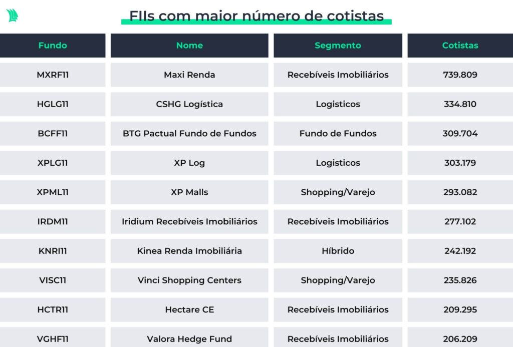 tabela com ranking de fundos imobiliários com maior número de cotistas